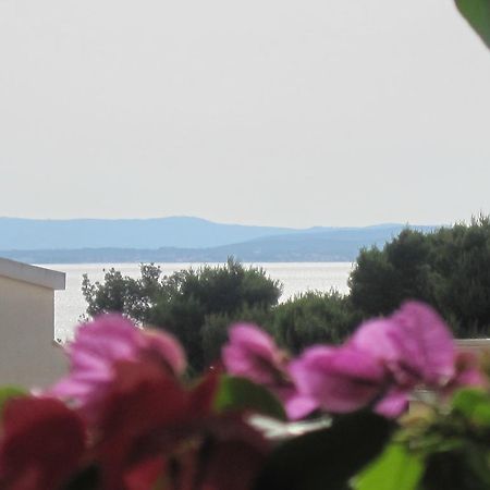 Apartments Villa Violet Задар Екстериор снимка